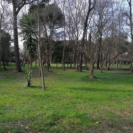 La Casina Giramondo Di Ele Виареджо Экстерьер фото