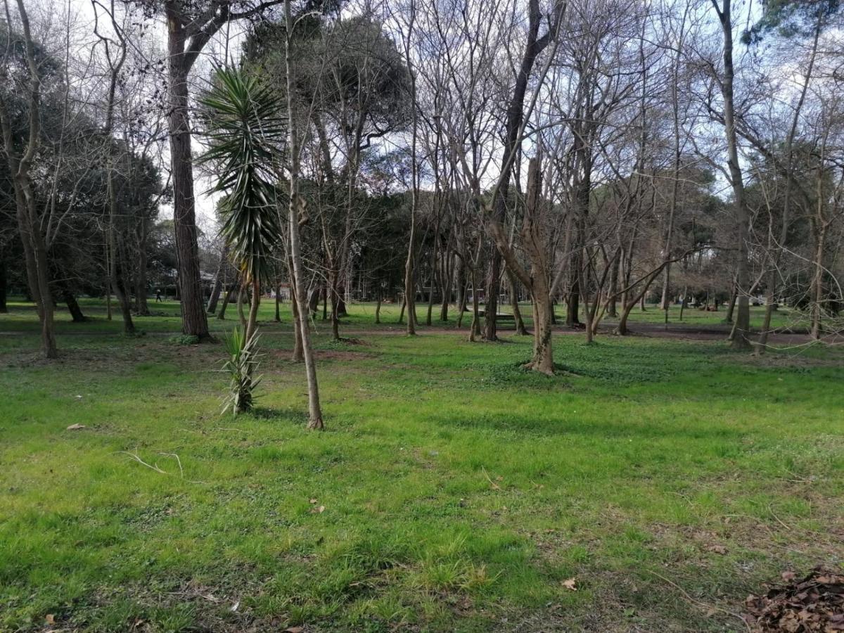 La Casina Giramondo Di Ele Виареджо Экстерьер фото